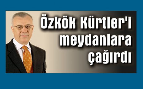 ERTUĞRUL ÖZKÖK'ÜN OYU BDP'NİN!!!!