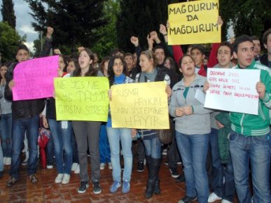 'Ali ata bakıyordu şimdi şifre yapar oldu'