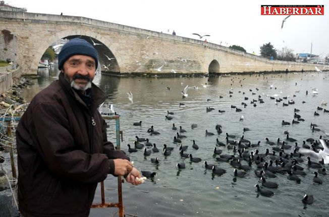 Ekmek kapma çabası