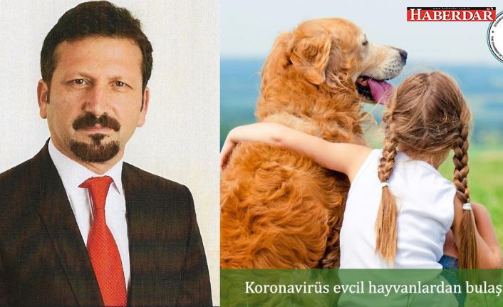 Koronavirüs evcil hayvanlardan bulaşır mı?