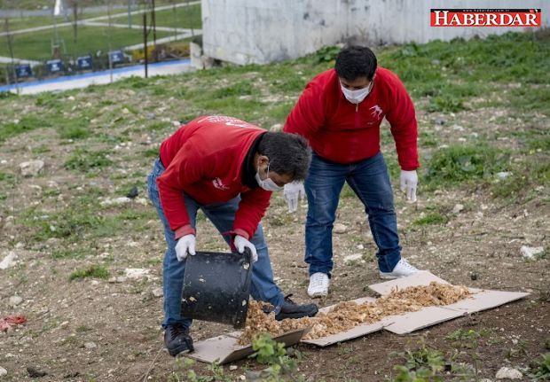 SOKAK HAYVANLARI İÇİN GÜNDE 650 KİLO MAMA