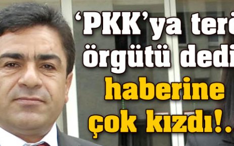 PKK'ya terör örgütü dedi mi?