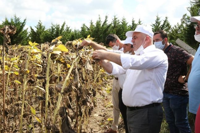 Başkan Mesut Üner “Çiftçilerimizin hasadı bol ve bereketli olsun”