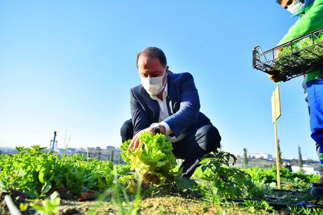 YAŞAM BAHÇESİ’NDE İLK KIŞ HASADI YAPILDI