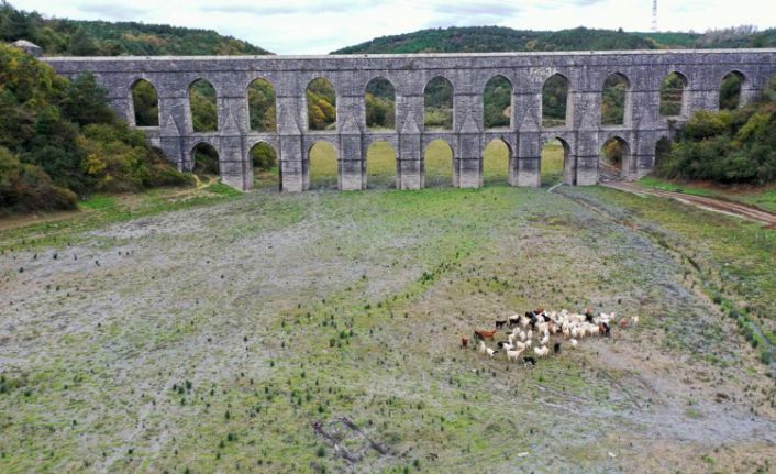 İstanbul'un barajlarındaki su, son 10 yılın en düşük seviyesinde