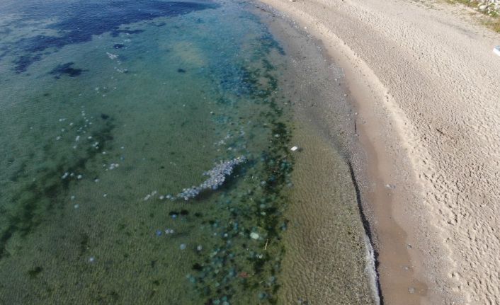 Avcılar’da sahilde deniz anası istilası havadan görüntülendi