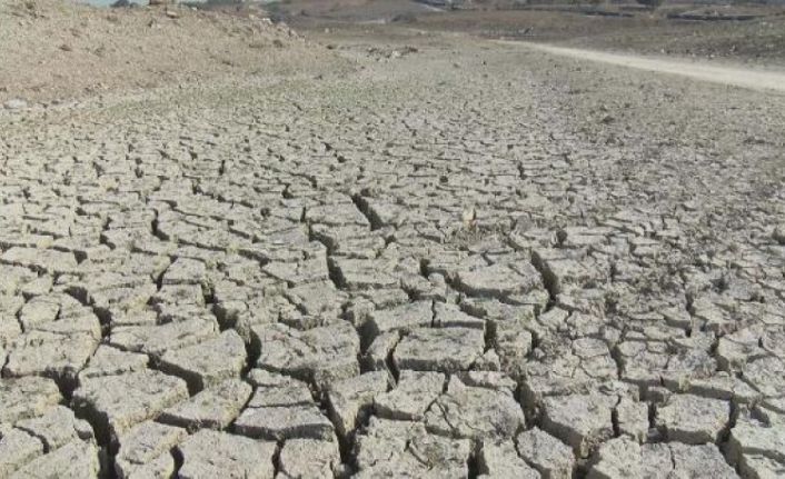 Uzmanından kuraklık uyarısı: Çok büyük yaralar alabiliriz