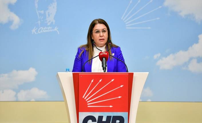 İnsan Hakları Eylem Planına CHP'li Karaca'dan Tepki