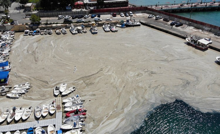 Marmara Denizi'nde 5 bin 300 metreküp müsilaj temizlendi