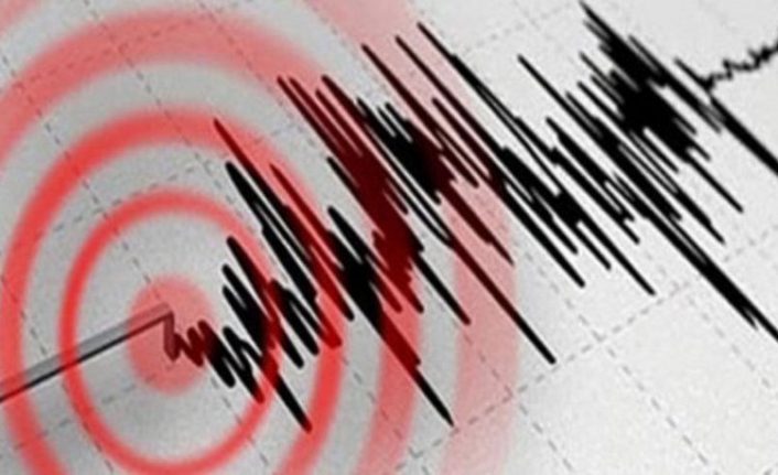 Yangın felaketi ile savaşan Manavgat'ta deprem