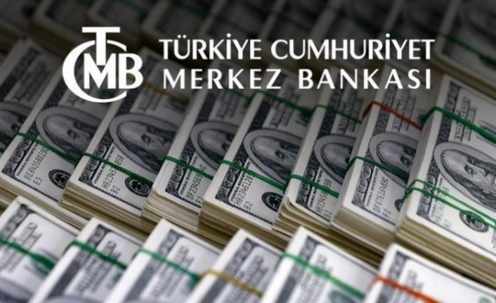 Merkez Bankası anketinde dolar ve enflasyon tahmini yükseldi