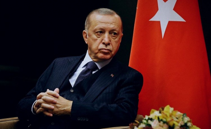 Erdoğan 'varsın gitsinler' dedi, Almanya kapıları açtı