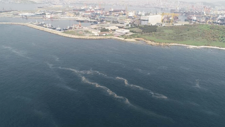 Marmara Denizi'nde müsilaj açıklaması! 'Umut ışığının peşine takılmalıyız'