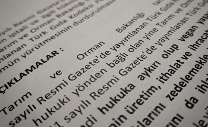 Vegan Derneği Türkiye vegan peynir yasaklarına karşı Tarım ve Orman Bakanlığı’na dava açtı