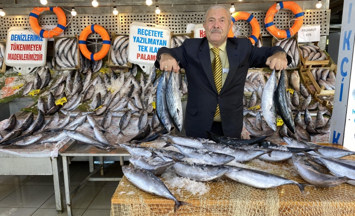 Palamut balığı yan etkisi olmayan tek ilaç