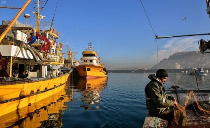 Bakanlıktan tepki çeken karar: İstanbul Boğazı endüstriyel balık avcılığı için kapatılacak