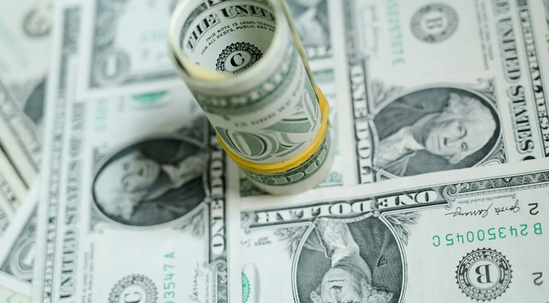 Reuters'tan çarpıcı anket: 2024'te dolar ne kadar olacak?