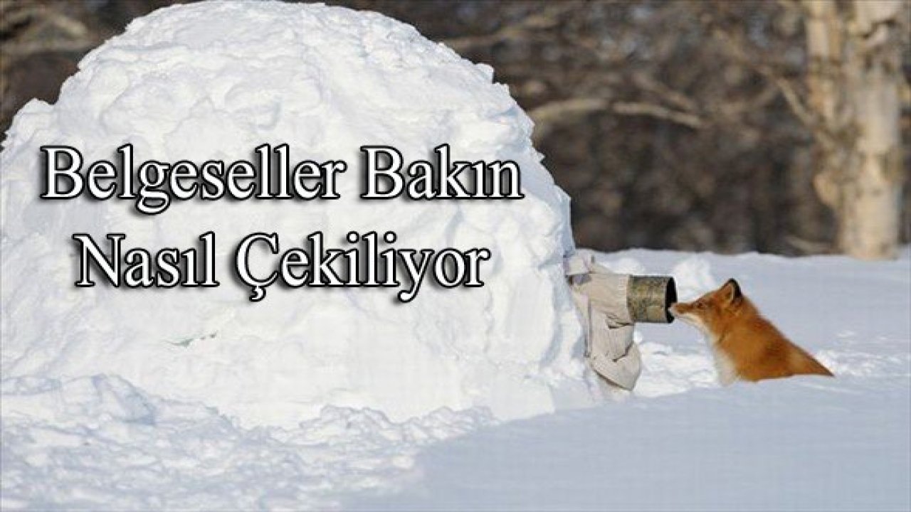 Belgeseller bakın nasıl çekiliyor