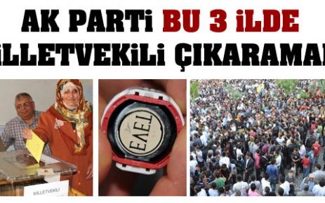 AK Parti 3 ilde vekil çıkaramadı